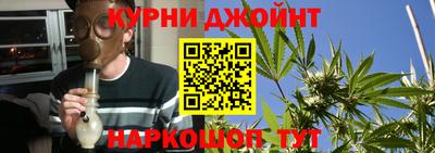 шишки Бузулук